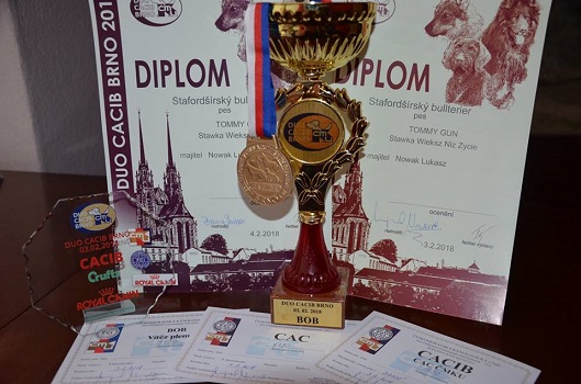 TOMMY GUN Stawka Większa niż Życie