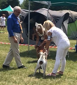 VULCAN Stawka Większa niż Życie