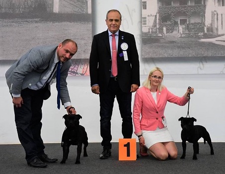 URSA  and Hugo