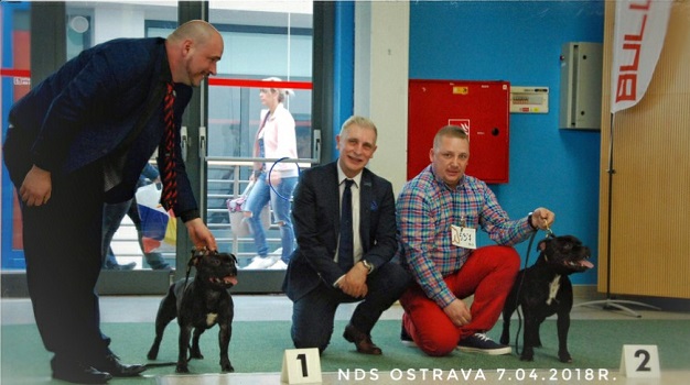 TUDOR Stawka Większa niż Życie