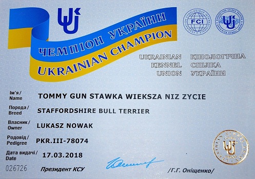 TOMMY GUN Stawka Większa niż Życie