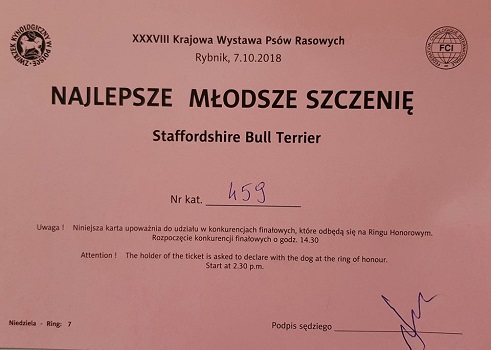 WENDY Stawka Większa niż Życie