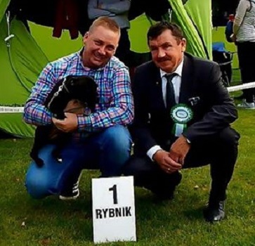 WENDY Stawka Większa niż Życie