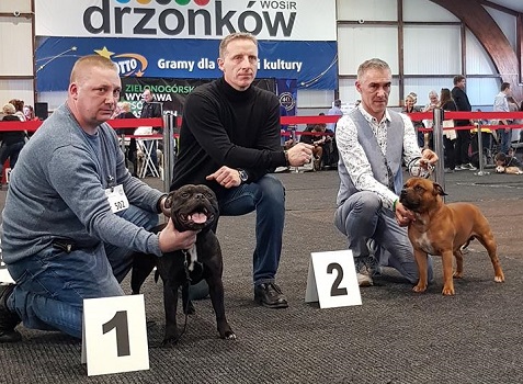  Stawka Większa niż Życie