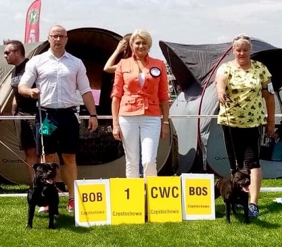 TOMMY GUN Stawka Większa niż Życie