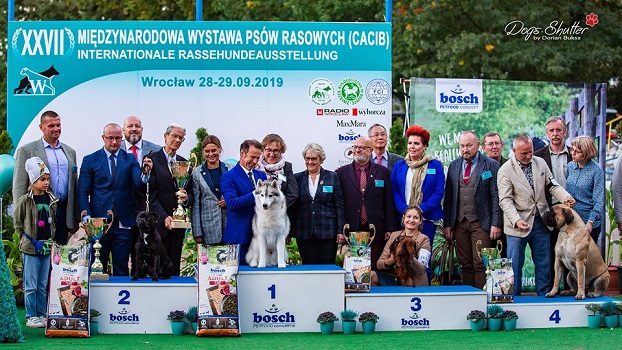 TOMMY GUN Stawka Większa niż Życie