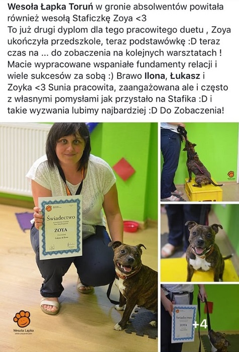 ZOYA Stawka Większa niż Życie