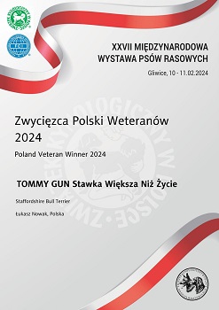 TOMMY GUN Stawka Większa niż Życie