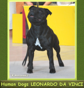 Ch.Pl. Mł.Ch.Pl. LEONARDO DaA VINCI Human Dogs